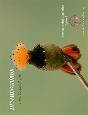 Hummingbird Monitoring Network Calendar