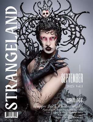 SLM Issue 10 Liam Bee Cover