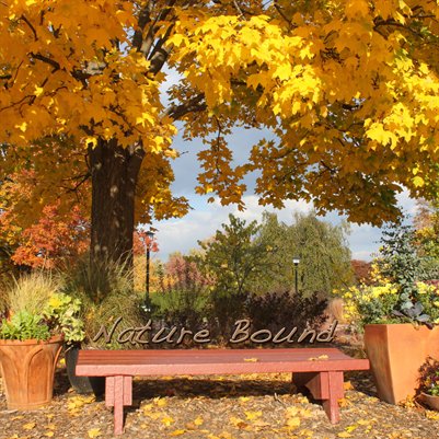 Nature Bound