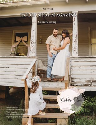 Publication preview