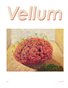 Vellum 25*  