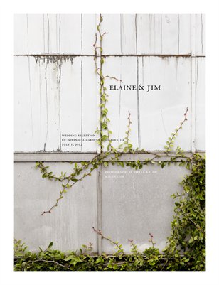 Elaine & Jim: Wedding Reception