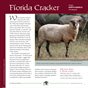 Guide to Fiber Intensive: Florida Cracker