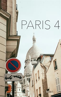 PARIS 4 THE MINI