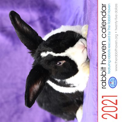 2021 Rabbit Calendar
