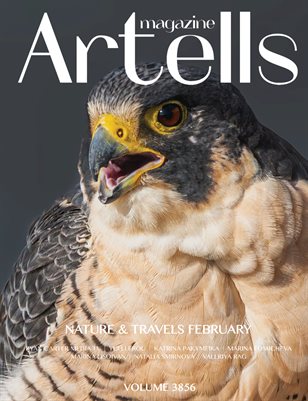 ARTELLS MAGAZINE - NATURE & TRAVELS FEBRUARY (Vol 3856)