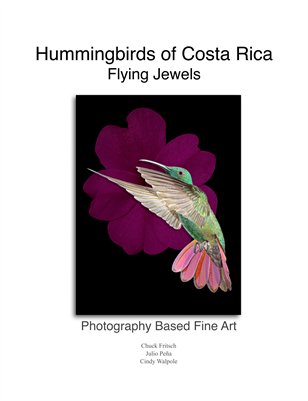 Hummingbirds of Costa Rica, Flying Jewels