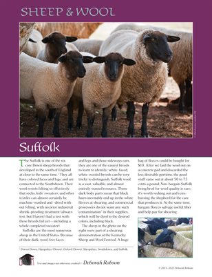 Sheep & Wool Mini Poster: Suffolk