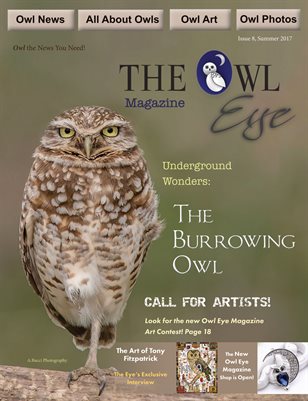 Owl Eye Issue 8 Summer 2017