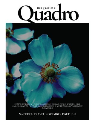 QUADRO MAGAZINE - NATURE & TRAVEL NOVEMBER (Vol 1343)
