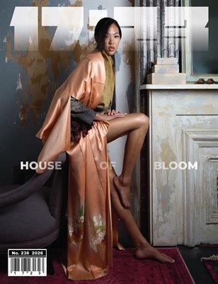 Publication preview