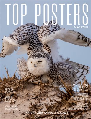 TOP POSTERS MAGAZINE - NATURE AND ANIMALS AUGUST
