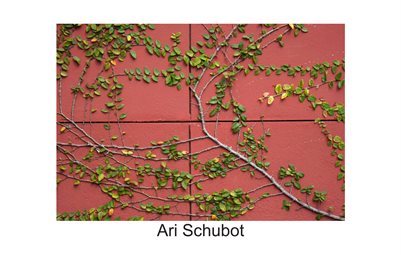 SCHUBOT_SR_EXHIBITION