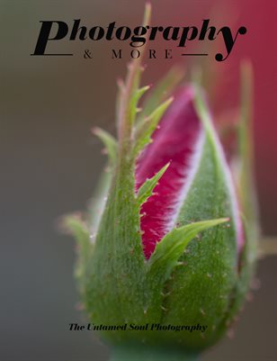 Issue40 Water and Nature Part 2