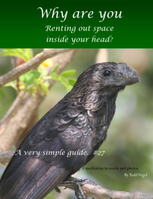 Renting Space
