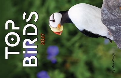 2027 Top Birds Calendar