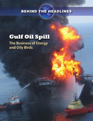 Gulf Oil Spill: The Business of Energy and Oily Birds