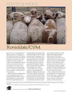 Sheep & Wool Mini Poster: Romeldale/CVM
