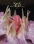 Sex & Psychedelics 003