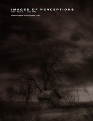 Images of Perceptions Vol. 1 - Issue II
