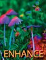 Enhance No 12