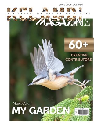 Publication preview