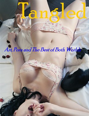 Art, Porn and The Best of Both Worlds 