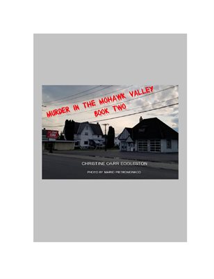Murder in the Mohawk Valley Book Two