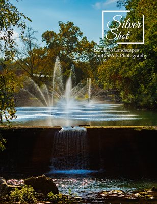 Publication preview