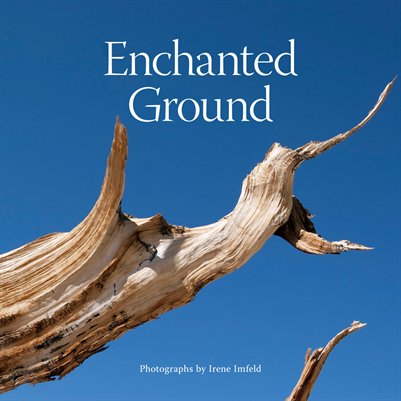 Enchanted Ground