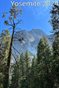 Yosemite Poster
