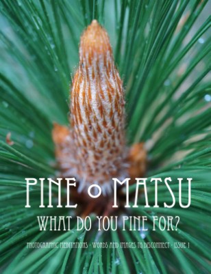 Publication preview