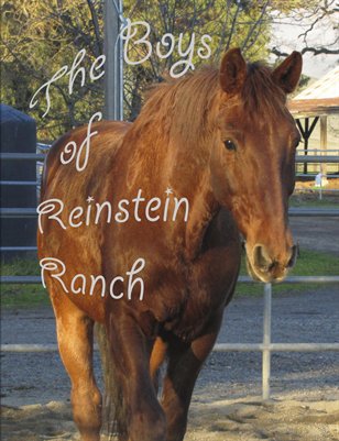 Boys of Reinstein Ranch