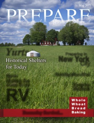 New Publication