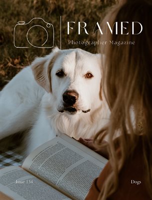 Framed Photographer Magazine, Issue 134