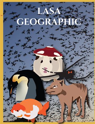 LASA Geographic