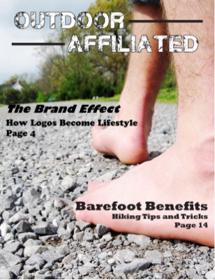 Publication preview