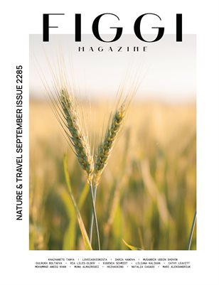 Publication preview