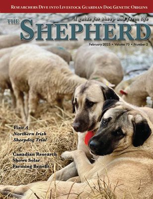 The Shepherd February 2026