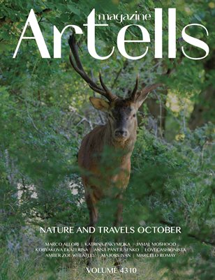 Publication preview