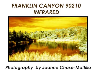 FRANKLIN CANYON 90210 - INFRARED (22X8.6)