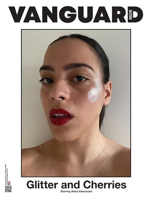 Vanguard #22 vol.8