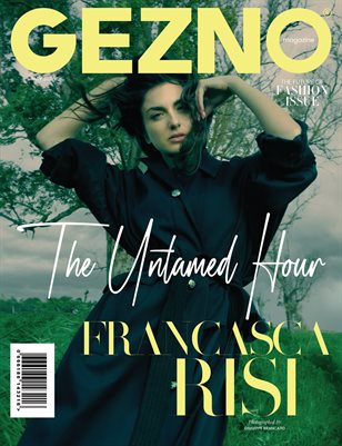 Publication preview