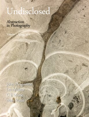 Undisclosed - Spring 2014 -Meltzer Cover