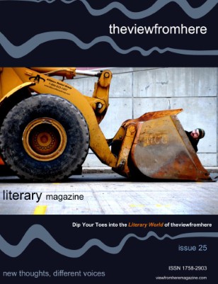 Issue 25