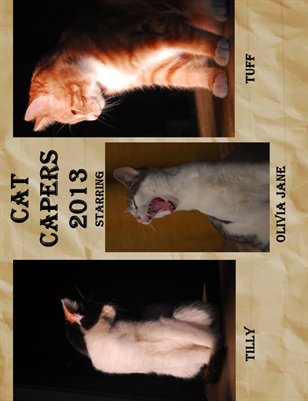 Cat Capers 2013