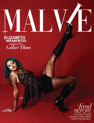 Publication preview