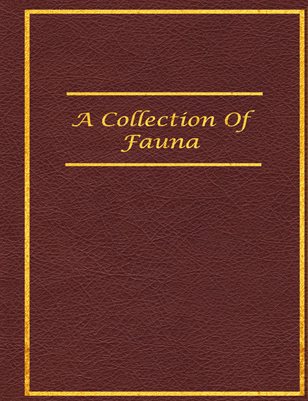 A Collection of Fauna