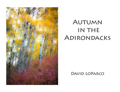 Autumn In The Adirondacks