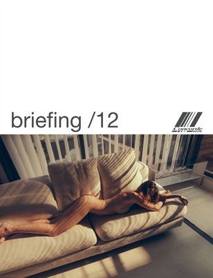 Concorde briefing /12